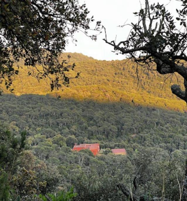 Masia Can Castellar Sant Iscle De Vallalta Extérieur photo